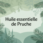 he pruche flacon forêt calme