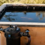 Kit bassin poisson hors sol EPDM installé sur terrasse avec poissons et filtre